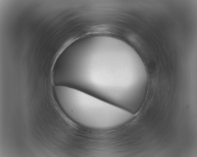X0000062891370200601131005