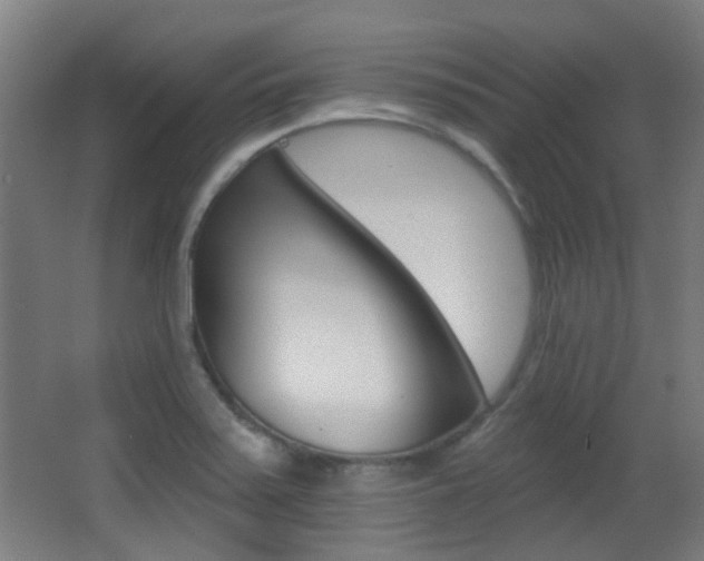 X0000062891371200601131005