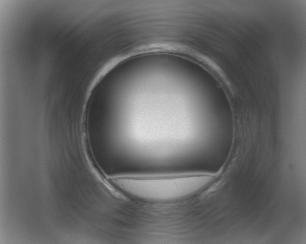 X0000062891373200601131005
