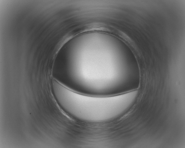 X0000062891377200601131005