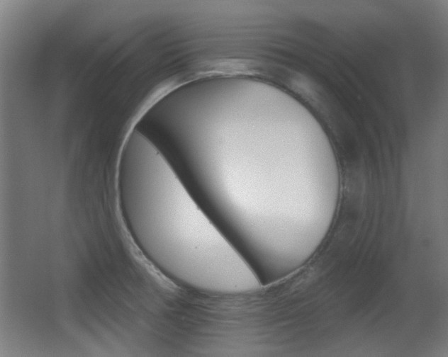 X0000062891378200601131005
