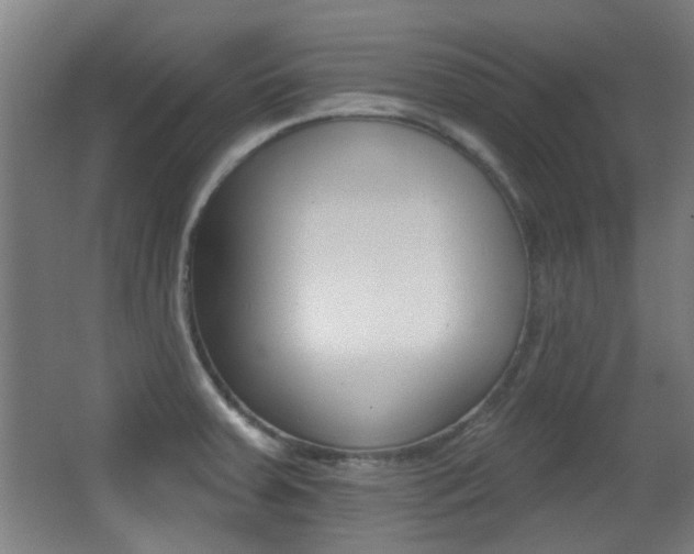 X0000062891379200601131005