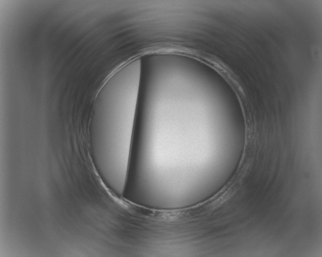 X0000062891385200601131005