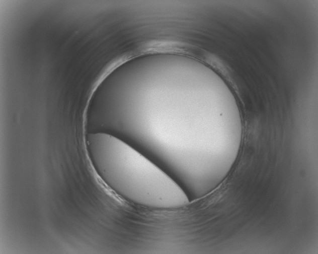 X0000062891386200601131005