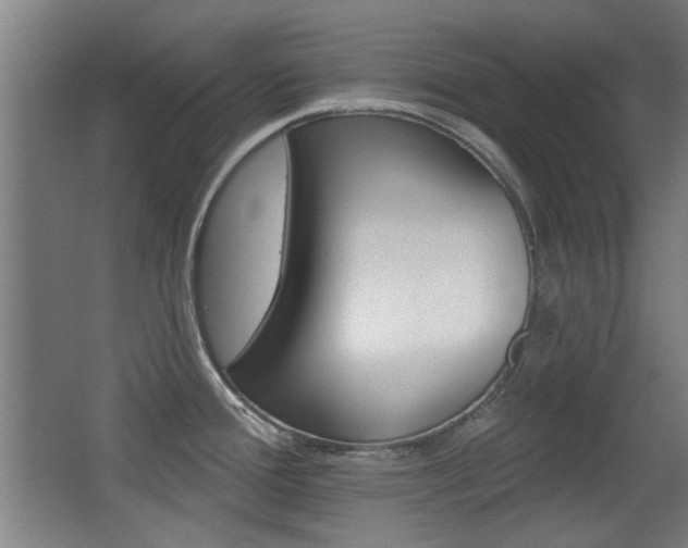 X0000062891388200601131005