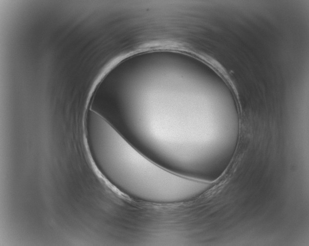 X0000062891389200601131005