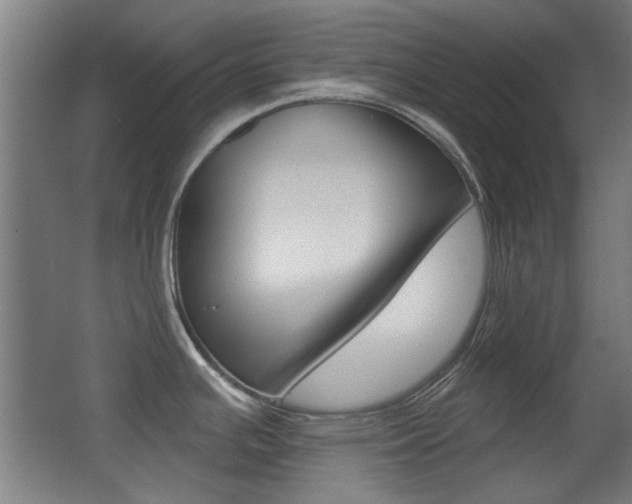X0000062891391200601131005