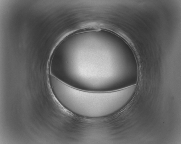 X0000062891392200601131005
