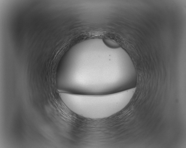 X0000062891393200601131004