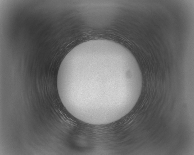 X0000062891394200601131004