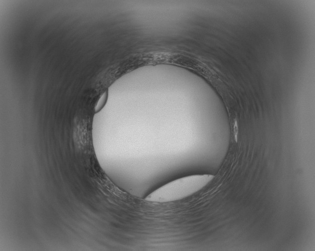 X0000062891395200601131004