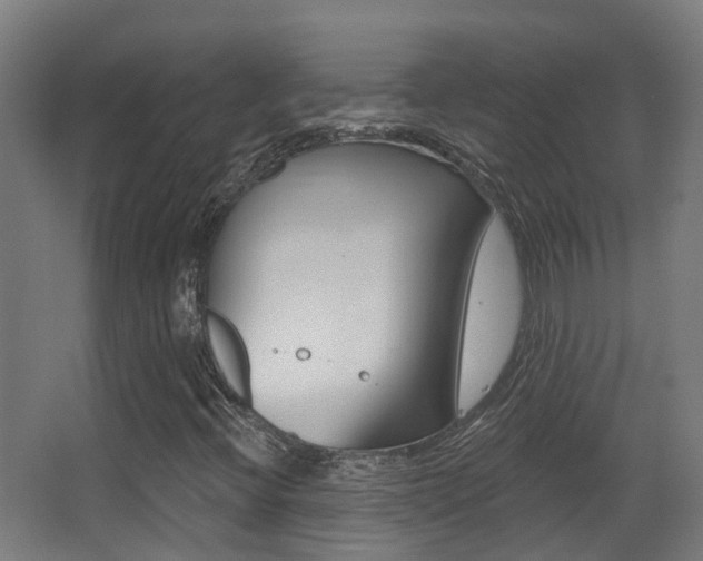 X0000062891396200601131004