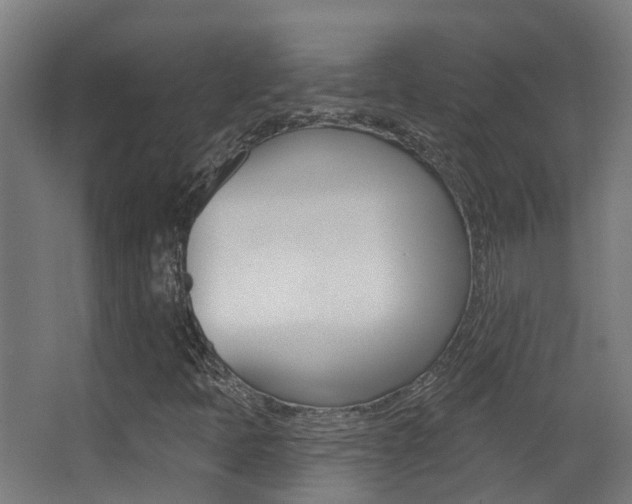 X0000062891397200601131004