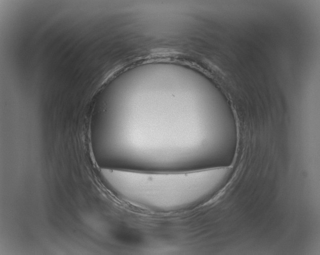 X0000062891401200601131004