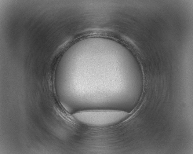 X0000062891403200601131004