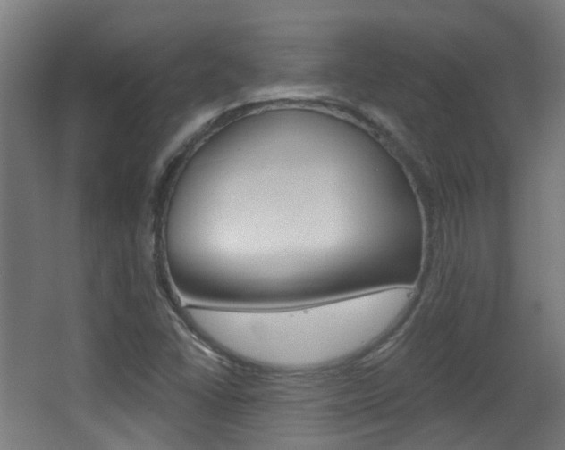 X0000062891406200601131004