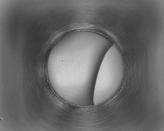 X0000062891407200601131004
