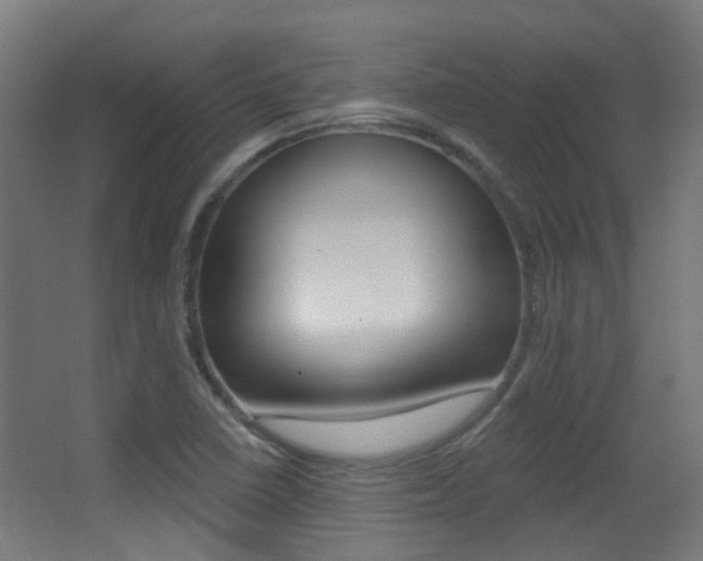 X0000062891410200601131004