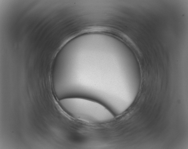 X0000062891417200601131005