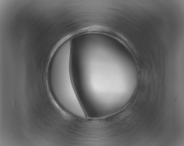 X0000062891418200601131005