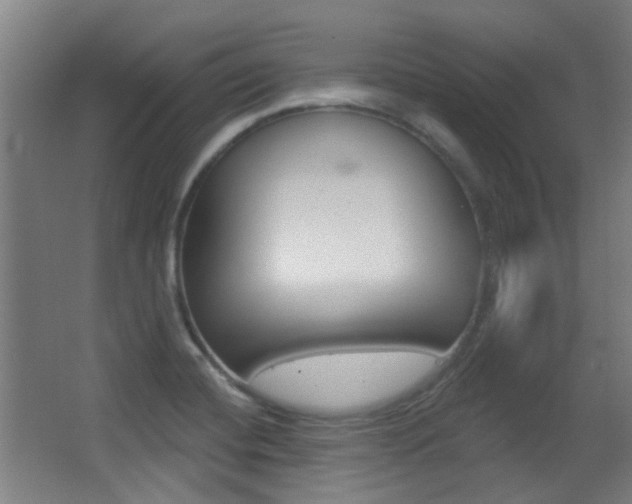 X0000062891420200601131005