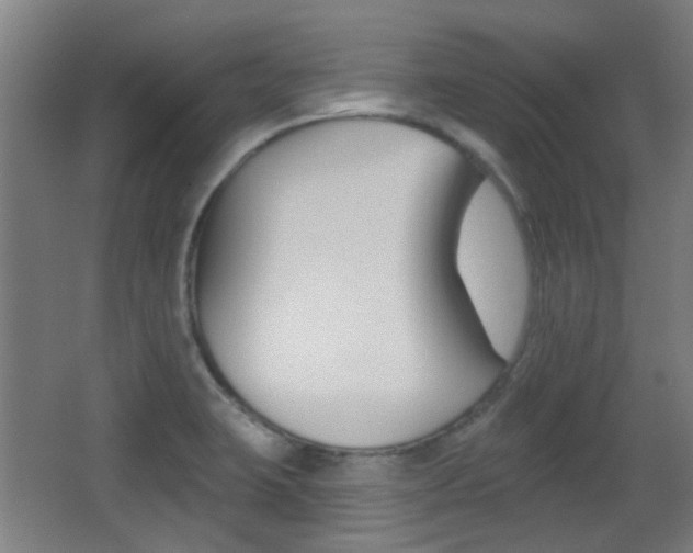 X0000062891423200601131005