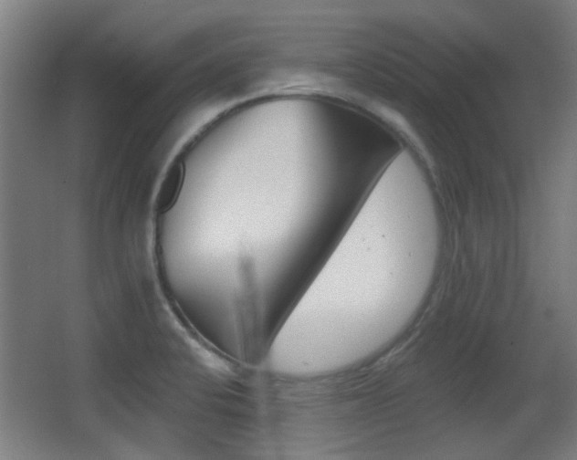 X0000062891424200601131005