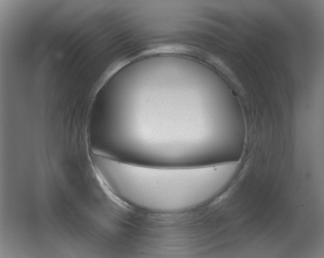 X0000062891425200601131005