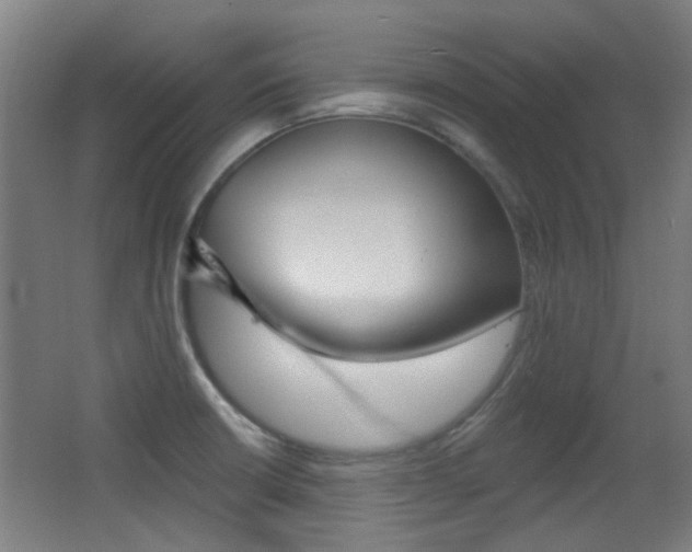 X0000062891426200601131005