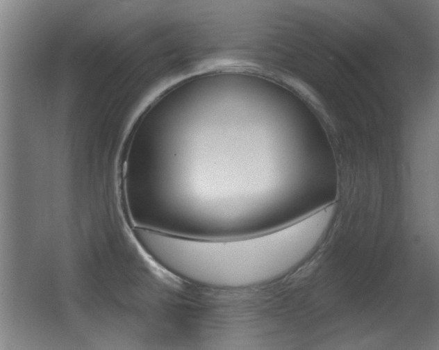 X0000062891430200601131005