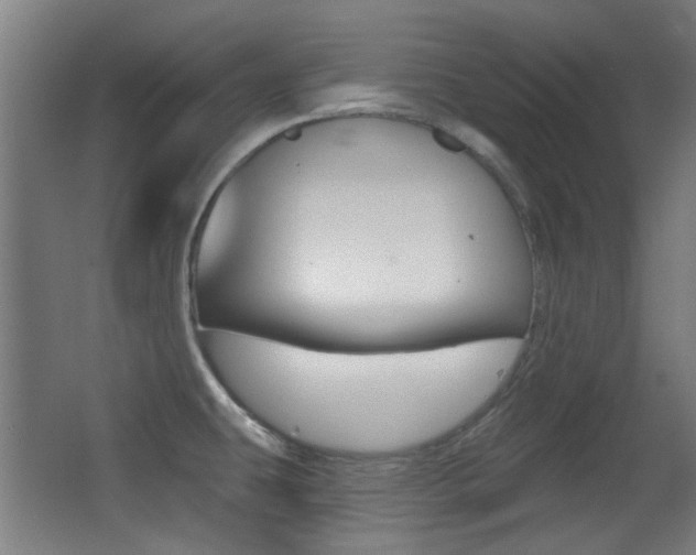 X0000062891431200601131005
