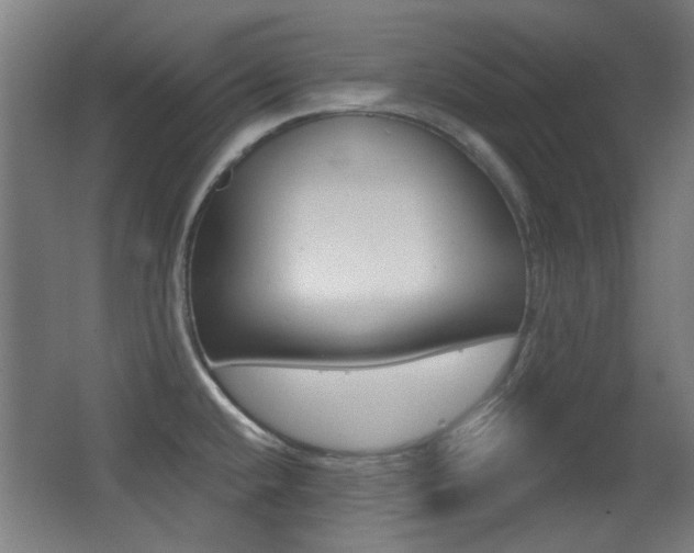 X0000062891432200601131005