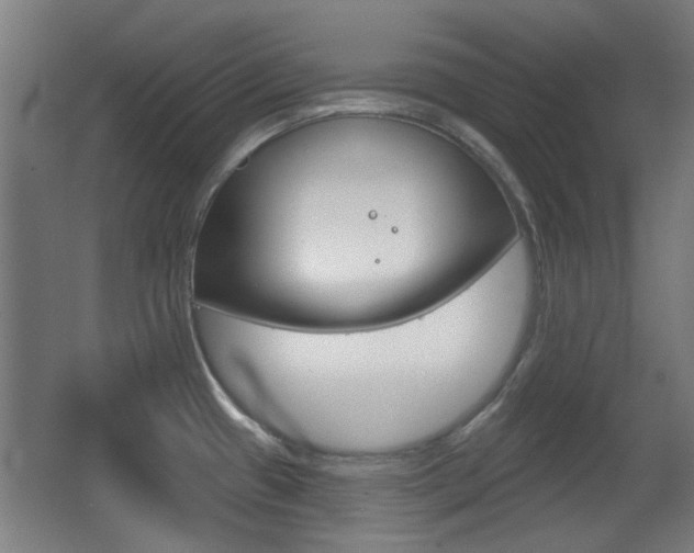 X0000062891433200601131005