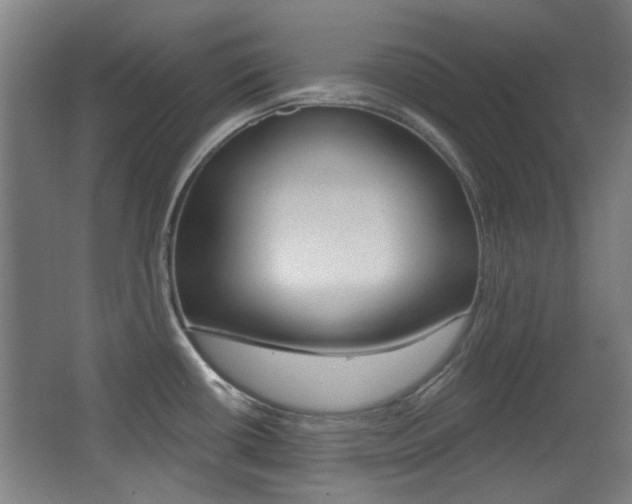 X0000062891434200601131005