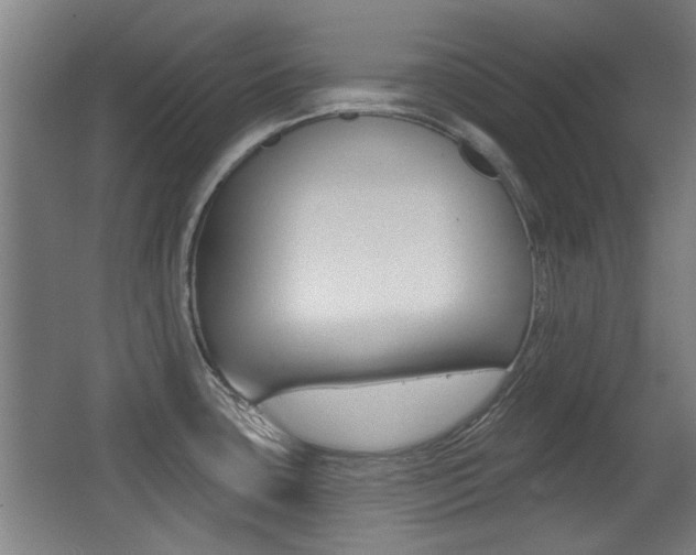 X0000062891435200601131005