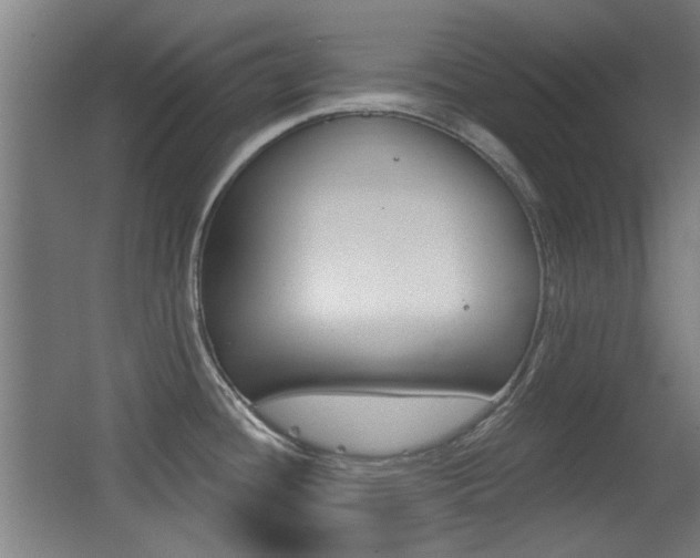 X0000062891436200601131005