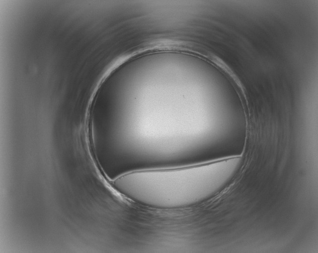 X0000062891437200601131005