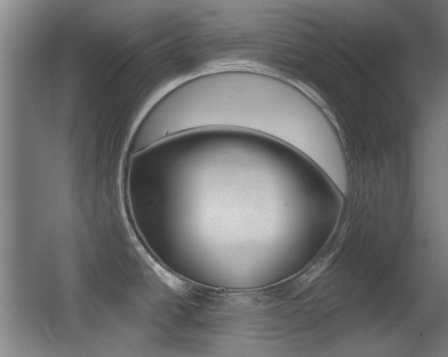 X0000062891438200601131005