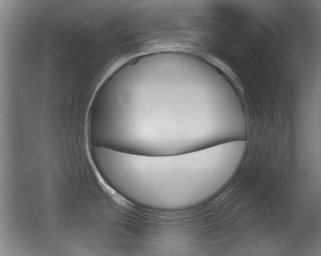 X0000062891439200601131005