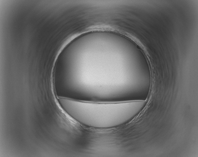 X0000062891440200601131005