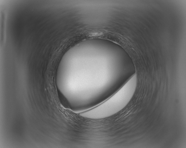 X0000062891441200601131004