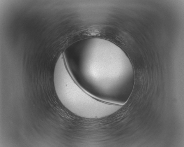 X0000062891442200601131004