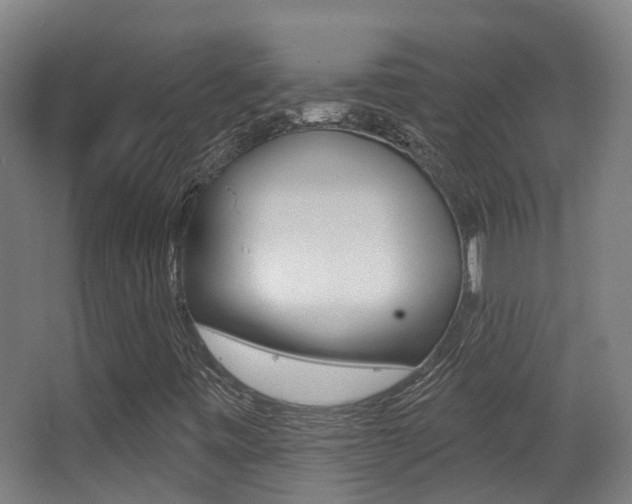 X0000062891443200601131004