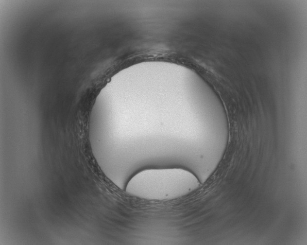 X0000062891447200601131004