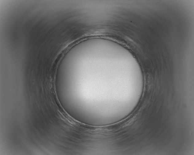 X0000062891449200601131004