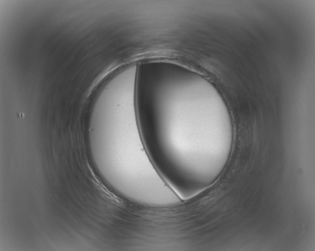 X0000062891450200601131004