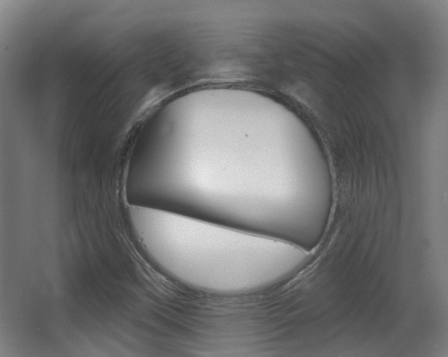 X0000062891451200601131004