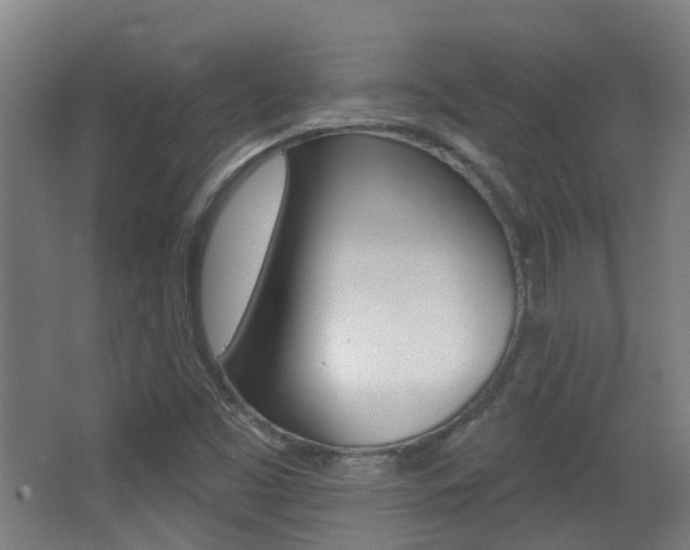 X0000062891453200601131004