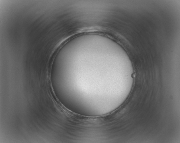 X0000062891457200601131004