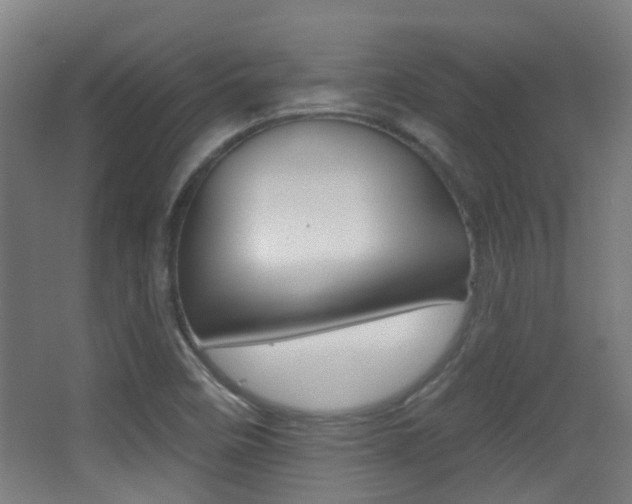 X0000062891458200601131004